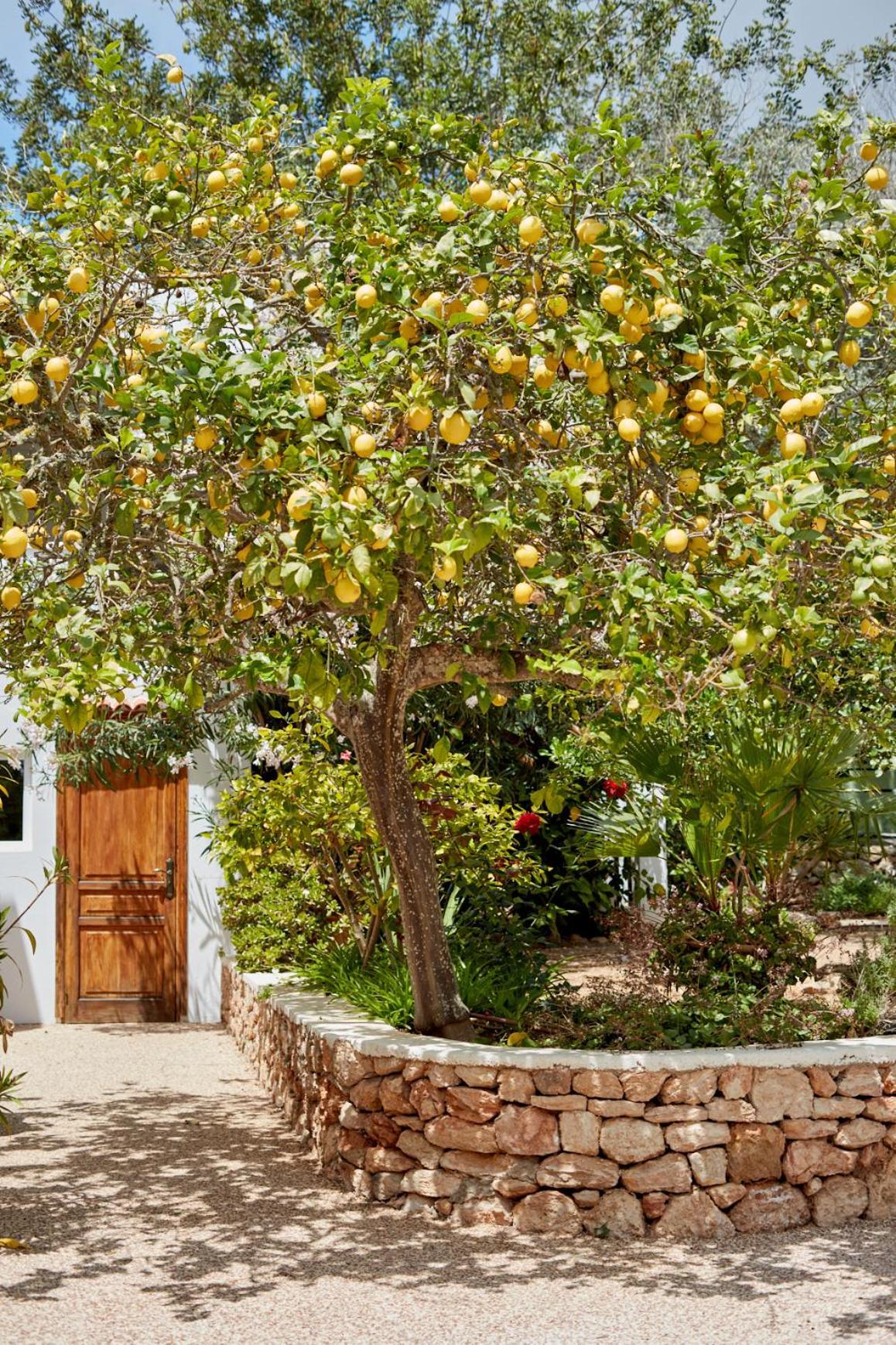 Valley Club Ibiza - Boutique Agroturismo Sant Joan De Labritja Exteriér fotografie